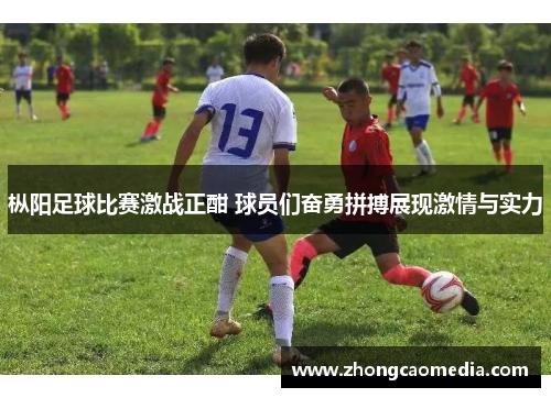 枞阳足球比赛激战正酣 球员们奋勇拼搏展现激情与实力