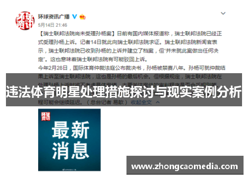 违法体育明星处理措施探讨与现实案例分析